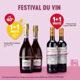 Le festival du vin commence 🎉